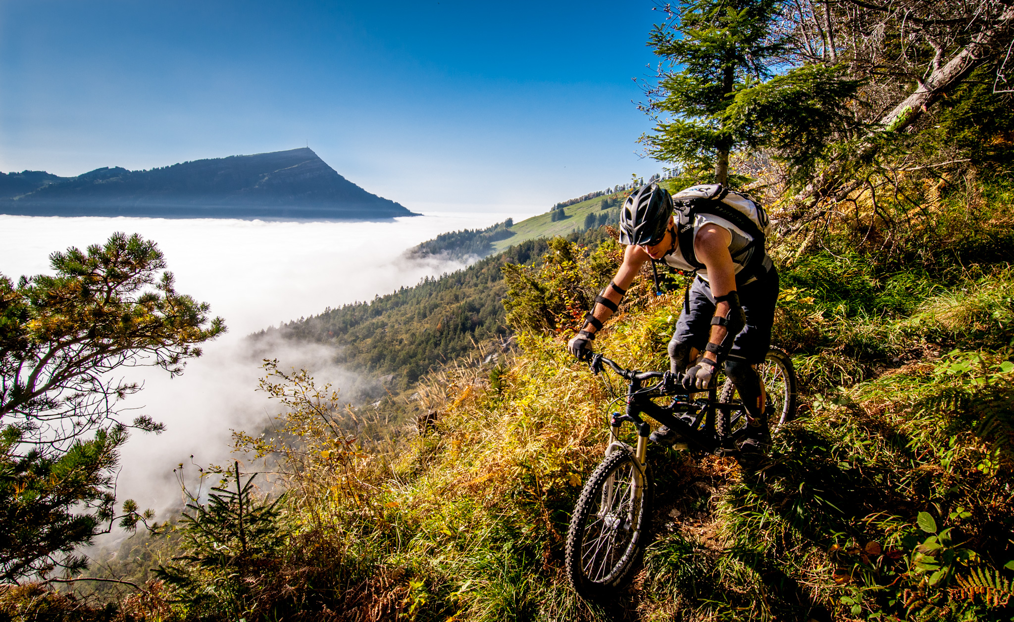 Rigi Wildspitz