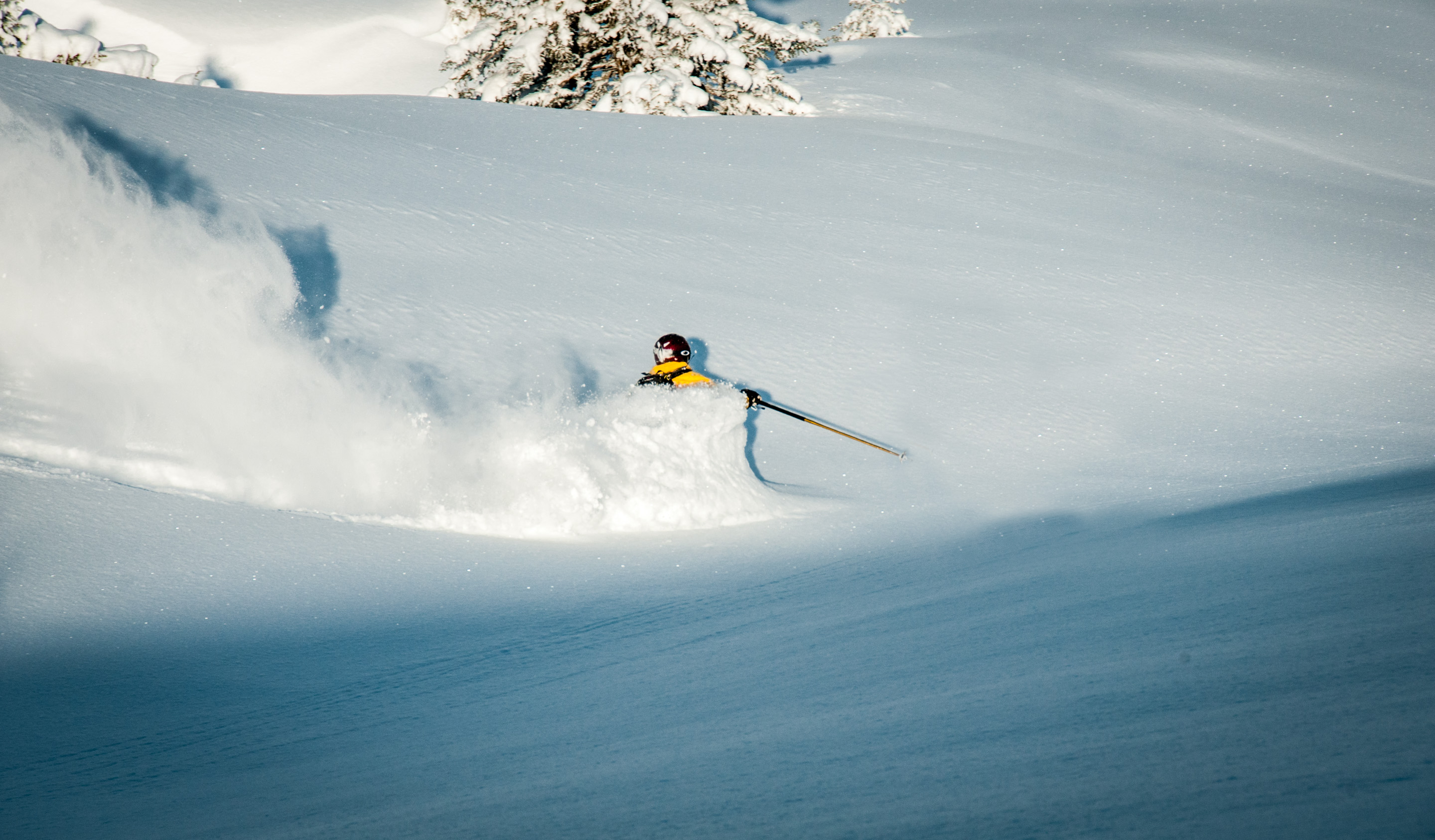 20 powder