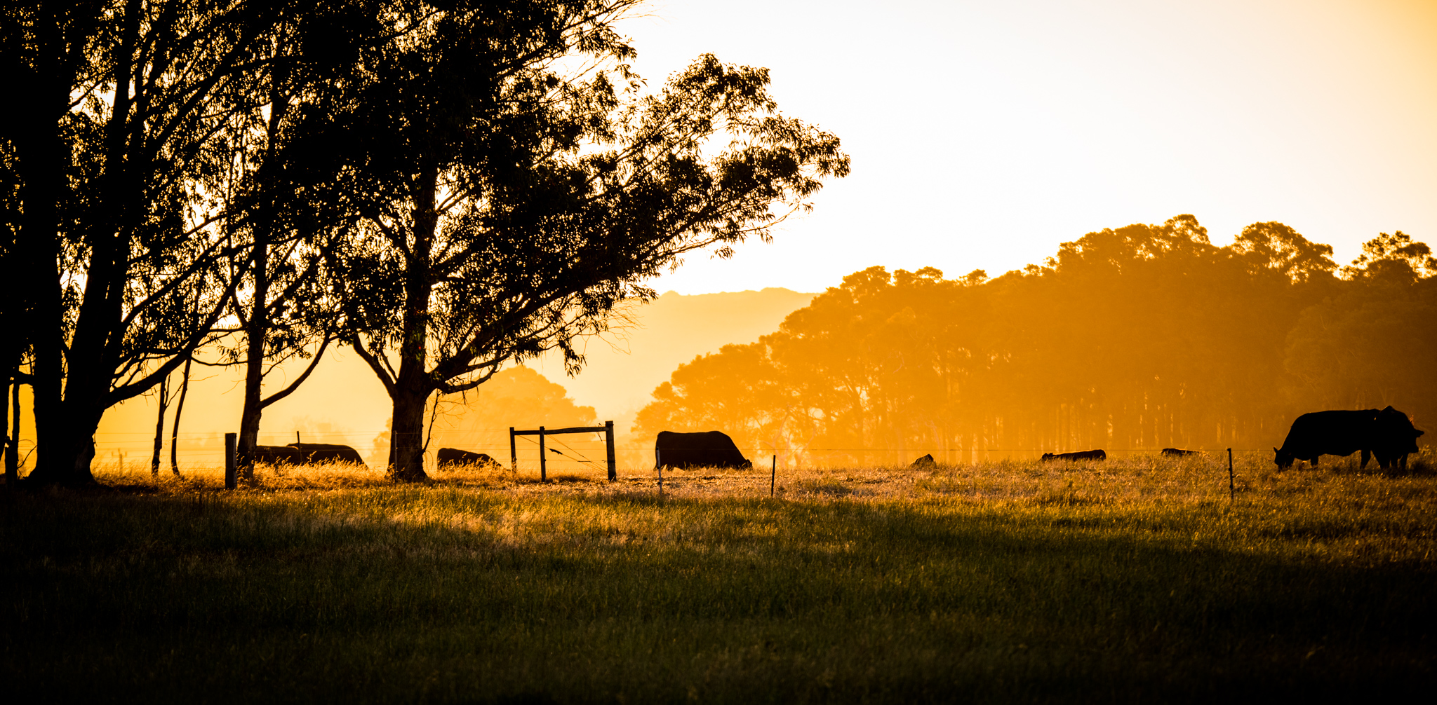 Sunset around Margaret