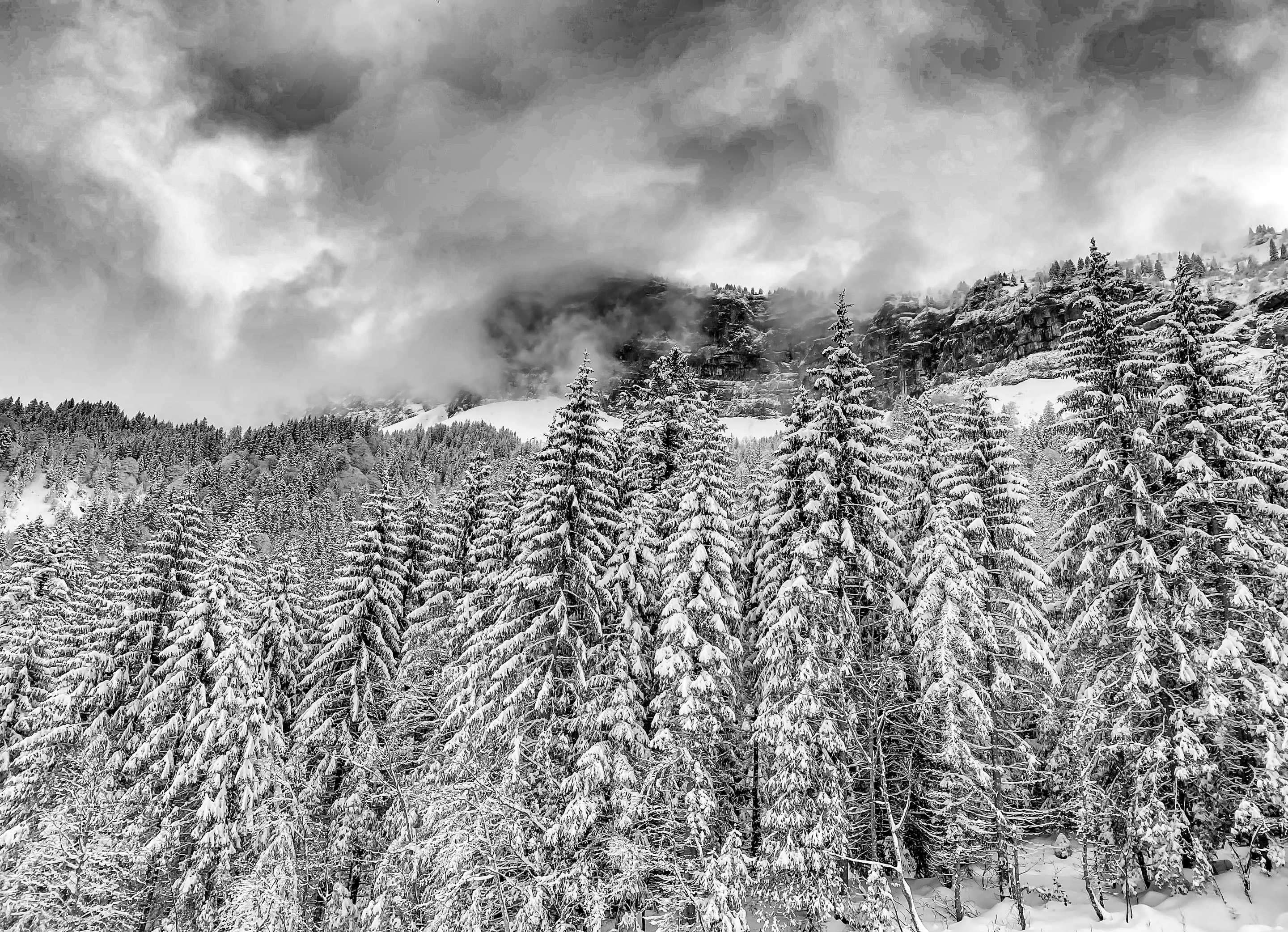 Choltal