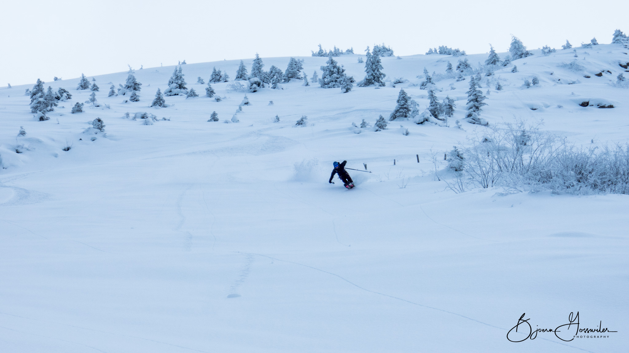 Skiing & Touring