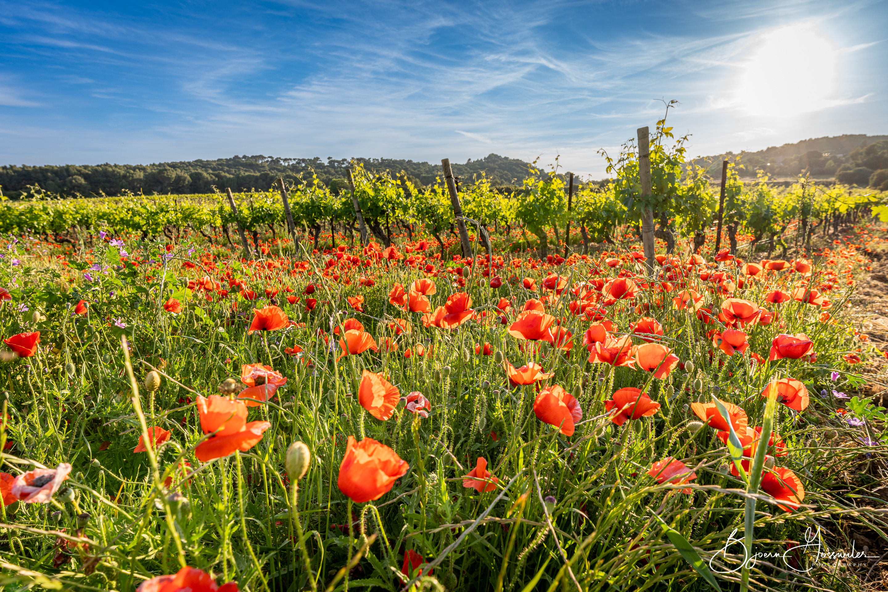 Roadtrip Ardeche - Leucate - Gruissan