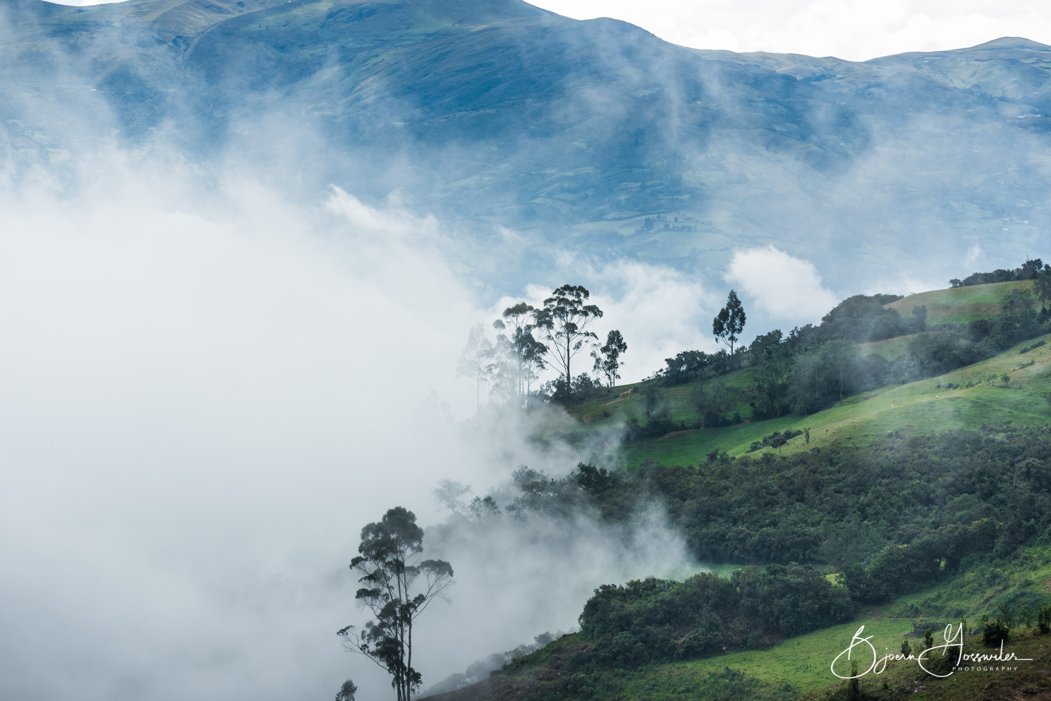 Andes