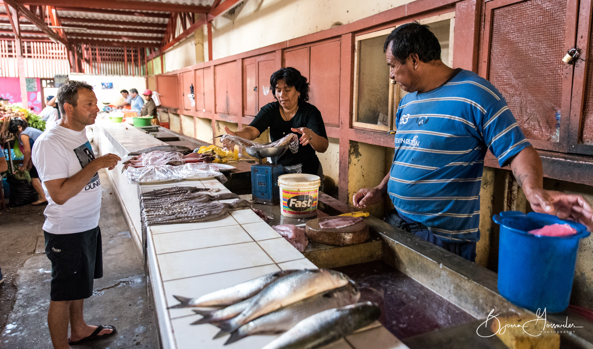 Fish what else