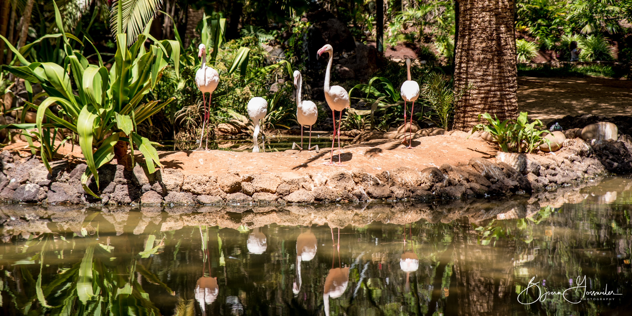 Oasis Park