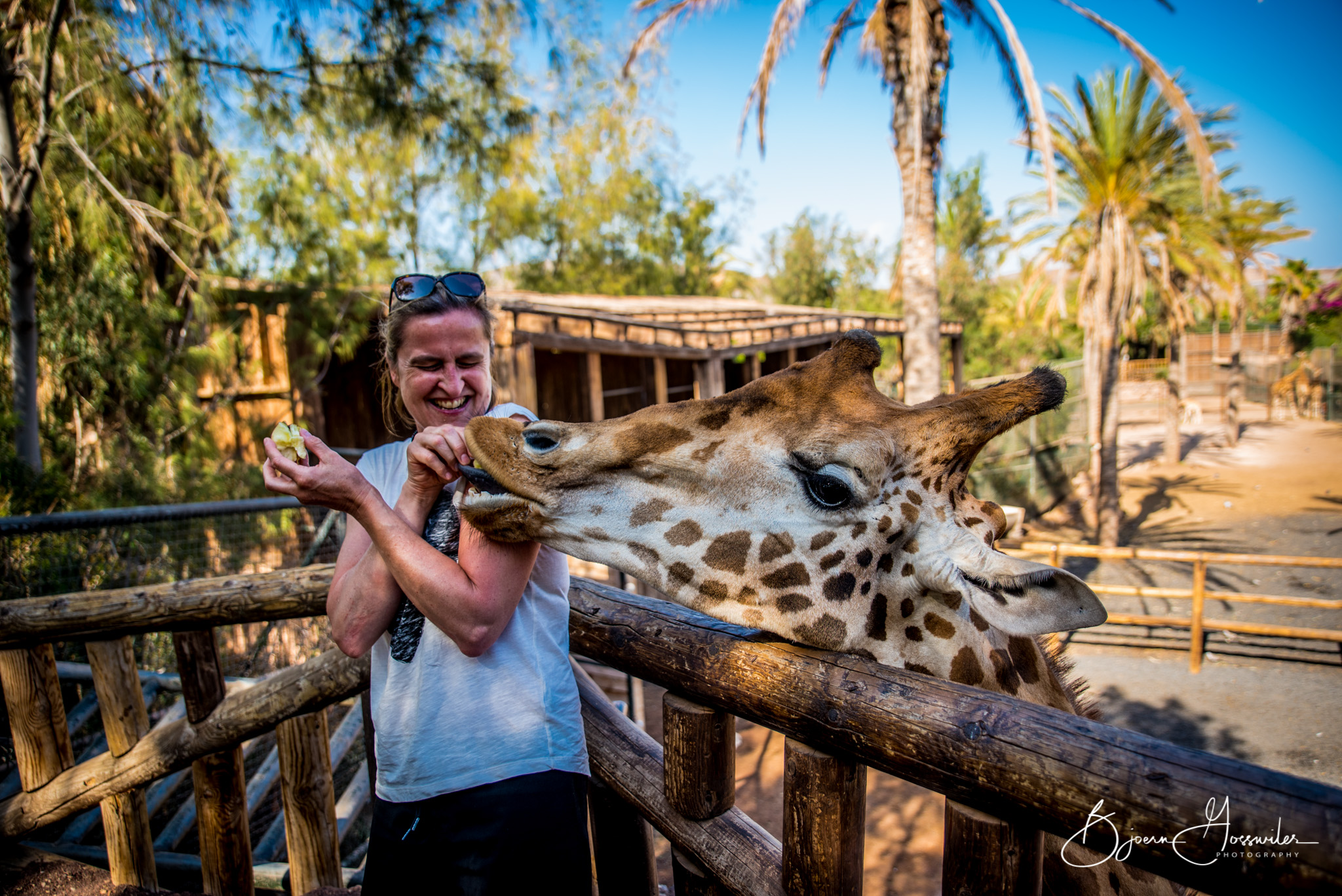 Esthi feeding giraffe