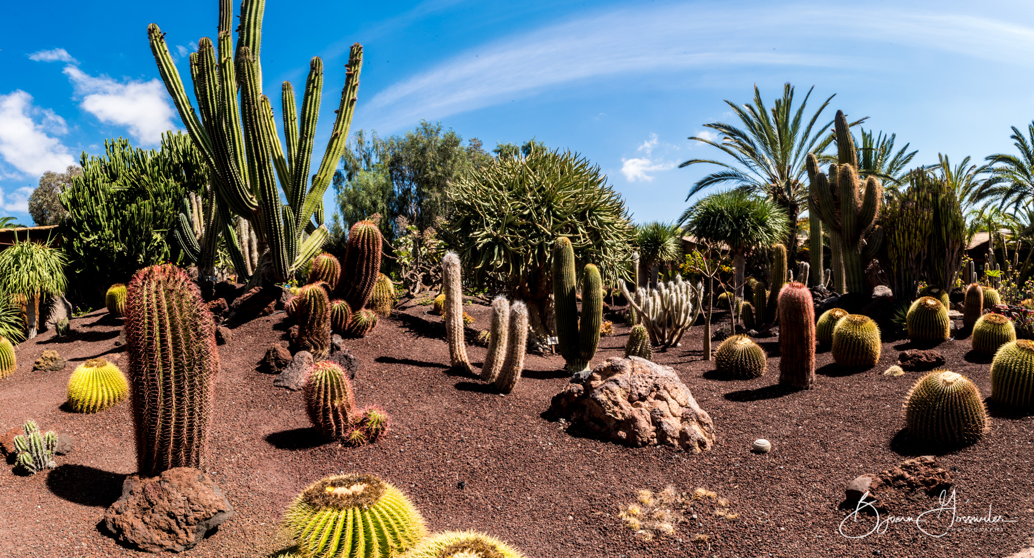 Oasis Park