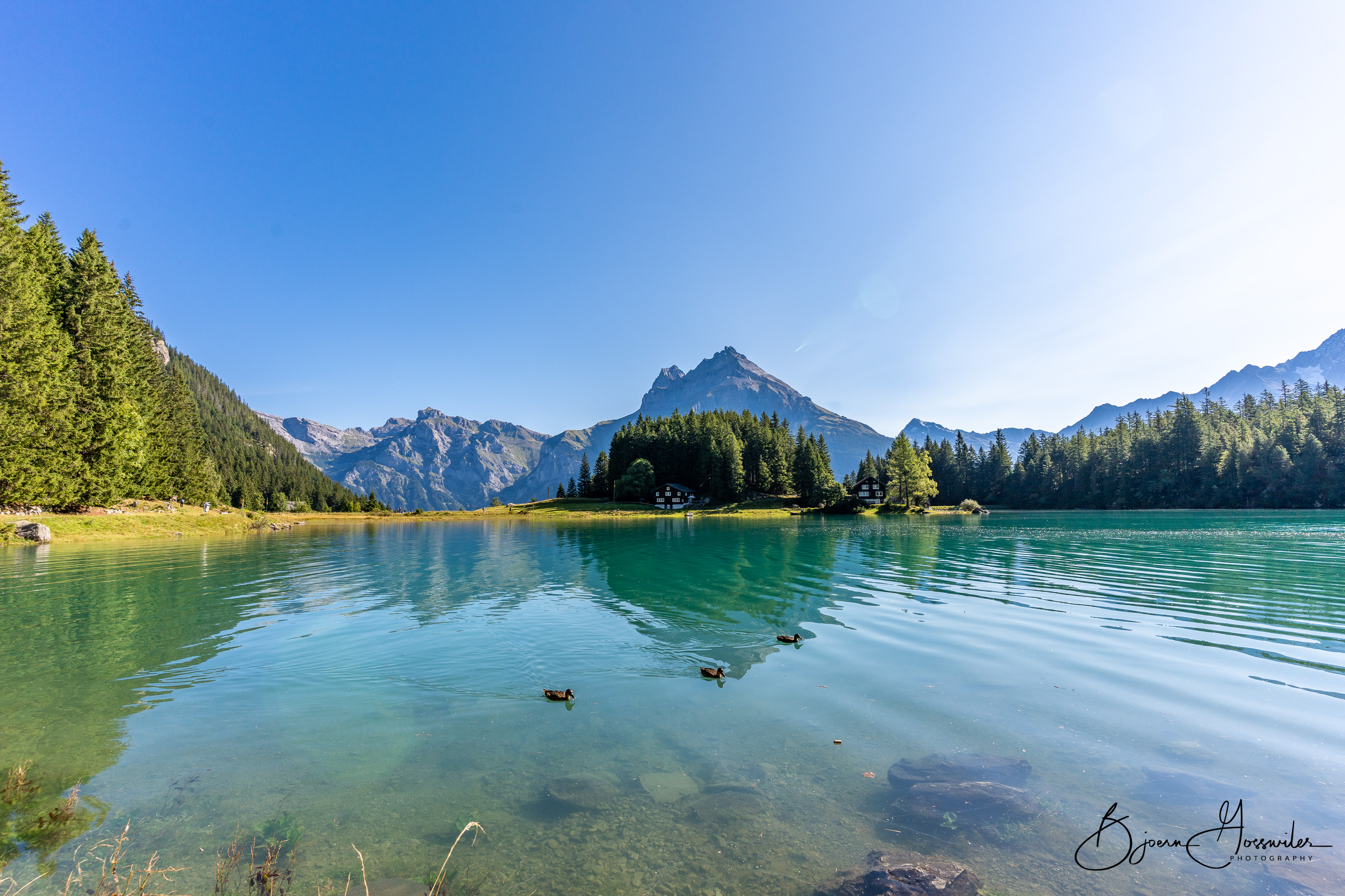 Arnisee